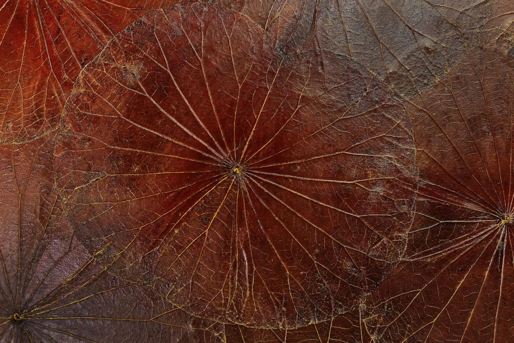 90 x 40 Lotus Leaf Art Rustic Red 5 90 x 40 Lotus Leaf Art Rustic Red